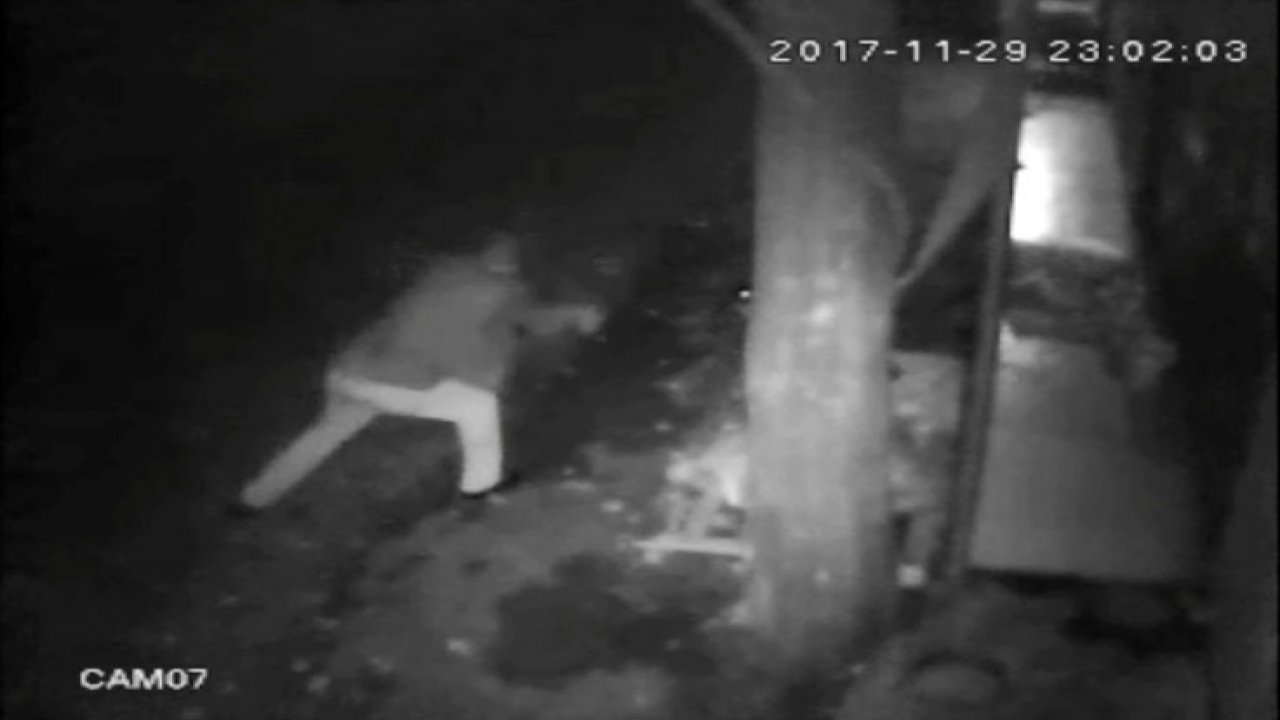 Köpeği demir sopayla dövdü