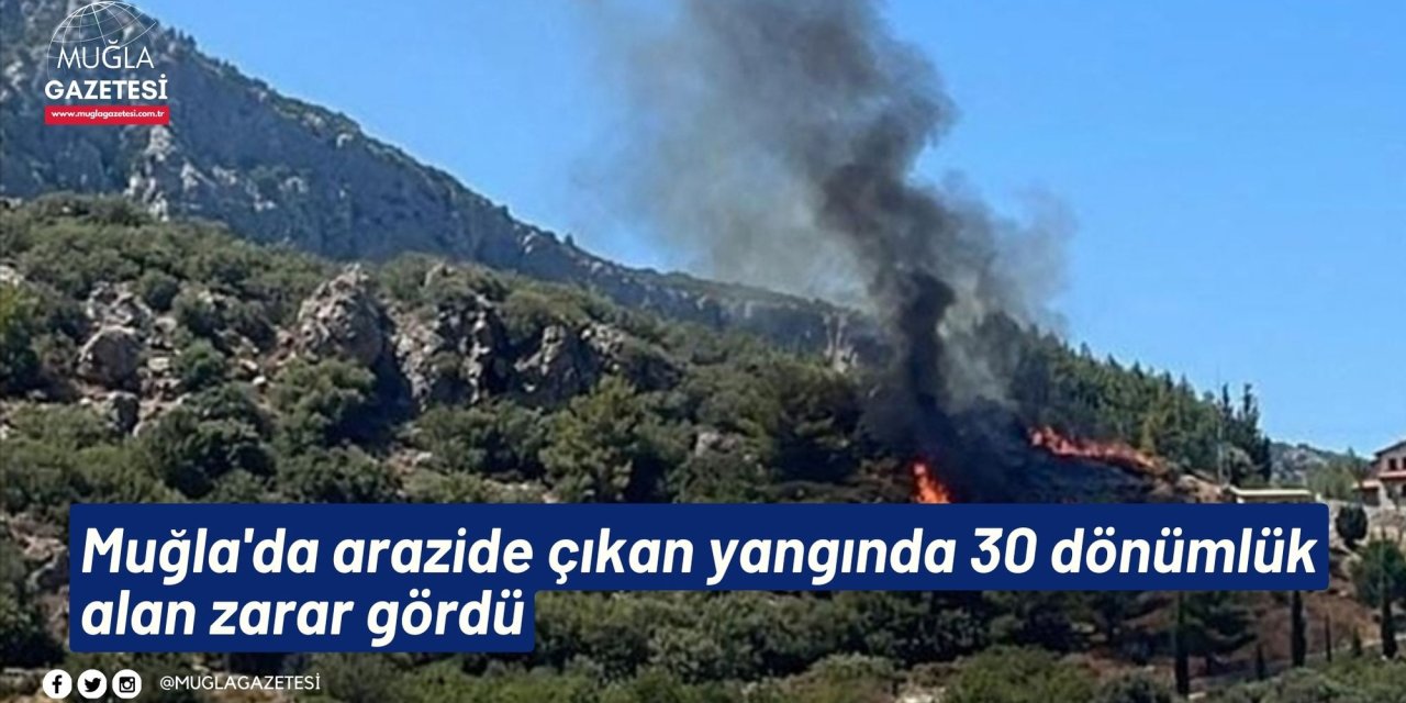 Muğla'da arazide çıkan yangında 30 dönümlük alan zarar gördü