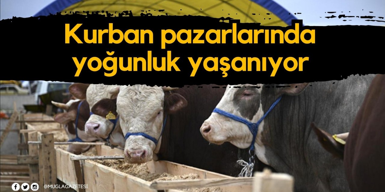 Kurban pazarlarında yoğunluk yaşanıyor