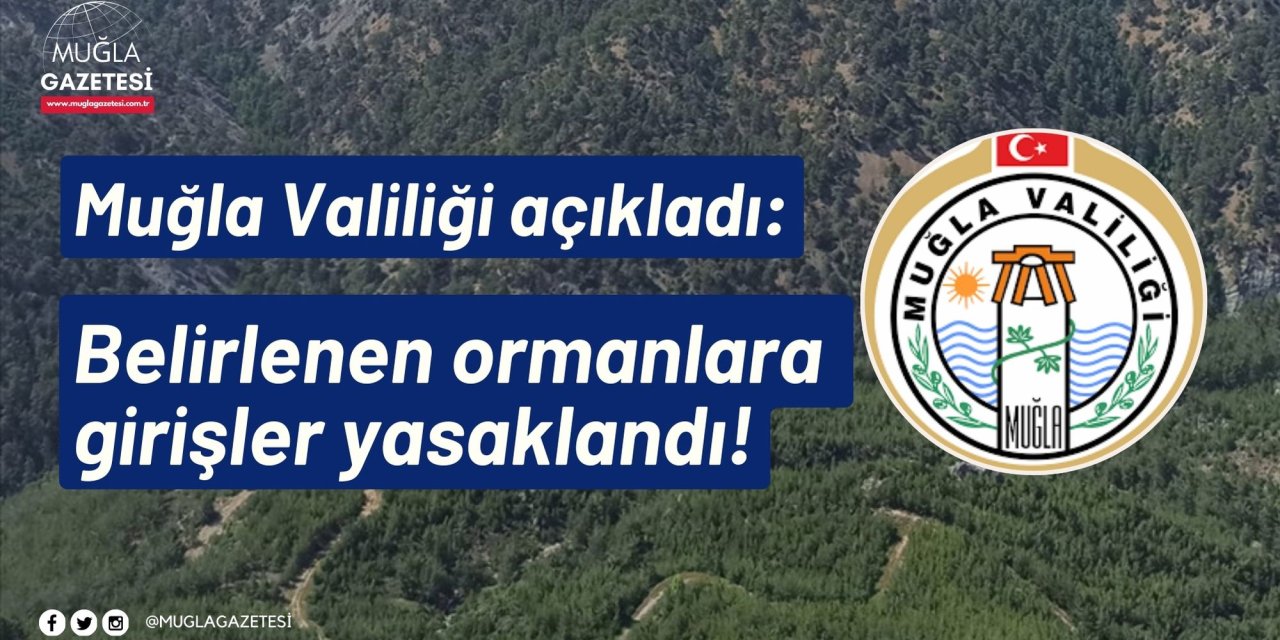 Muğla Valiliği açıkladı: Belirlenen ormanlara girişler yasaklandı!