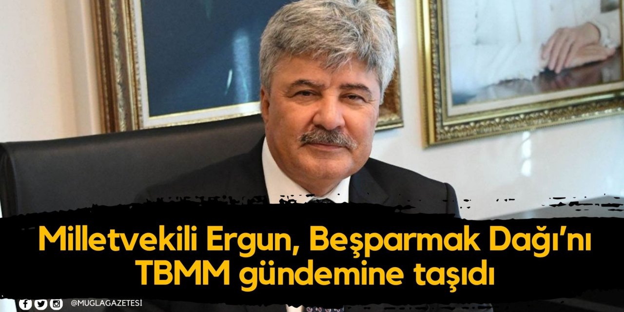 Milletvekili Ergun, Beşparmak Dağı’nı TBMM gündemine taşıdı