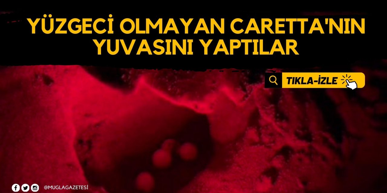 YÜZGECİ OLMAYAN CARETTA'NIN YUVASINI YAPTILAR