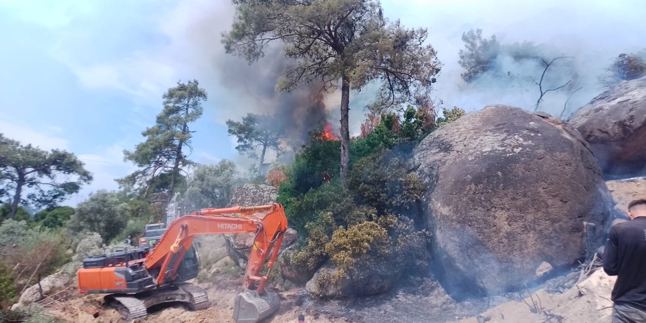 MENTEŞE'DE ORMAN YANGINI BAŞLADI...