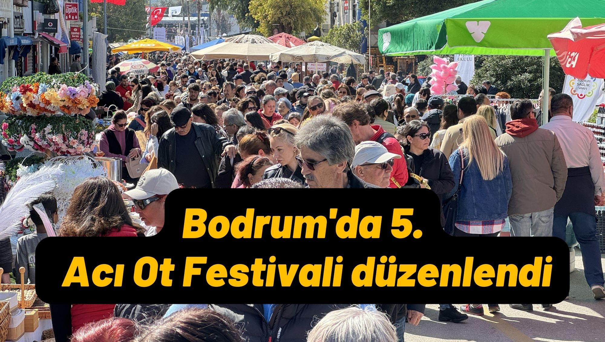 Bodrum'da 5. Acı Ot Festivali düzenlendi