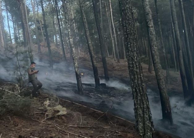 Menteşe'de orman yangını!