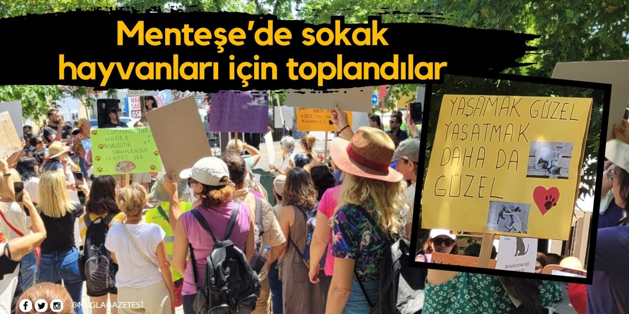 Menteşe’de sokak hayvanları için toplandılar