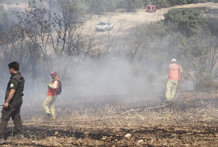 Art arda başlayan üç yangın panik yarattı!