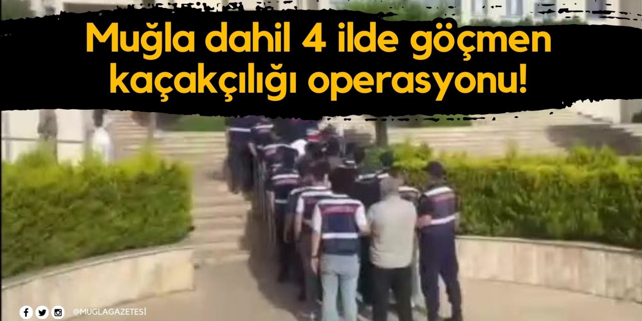 Muğla dahil 4 ilde göçmen kaçakçılığı operasyonu!