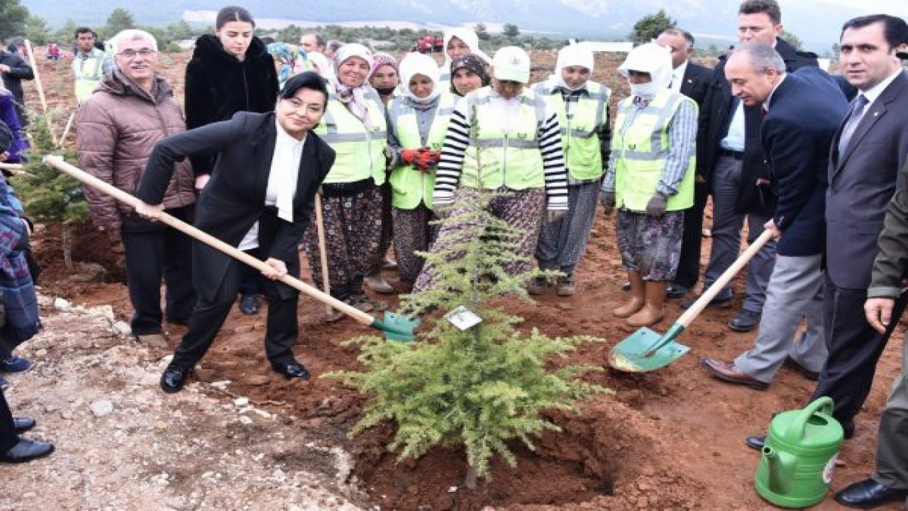 Gönül Elçileri fidan dikti