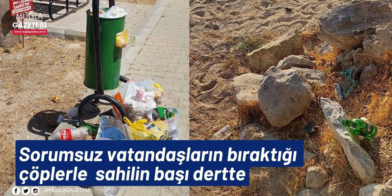 Sorumsuz vatandaşların bıraktığı çöplerle sahilin başı dertte