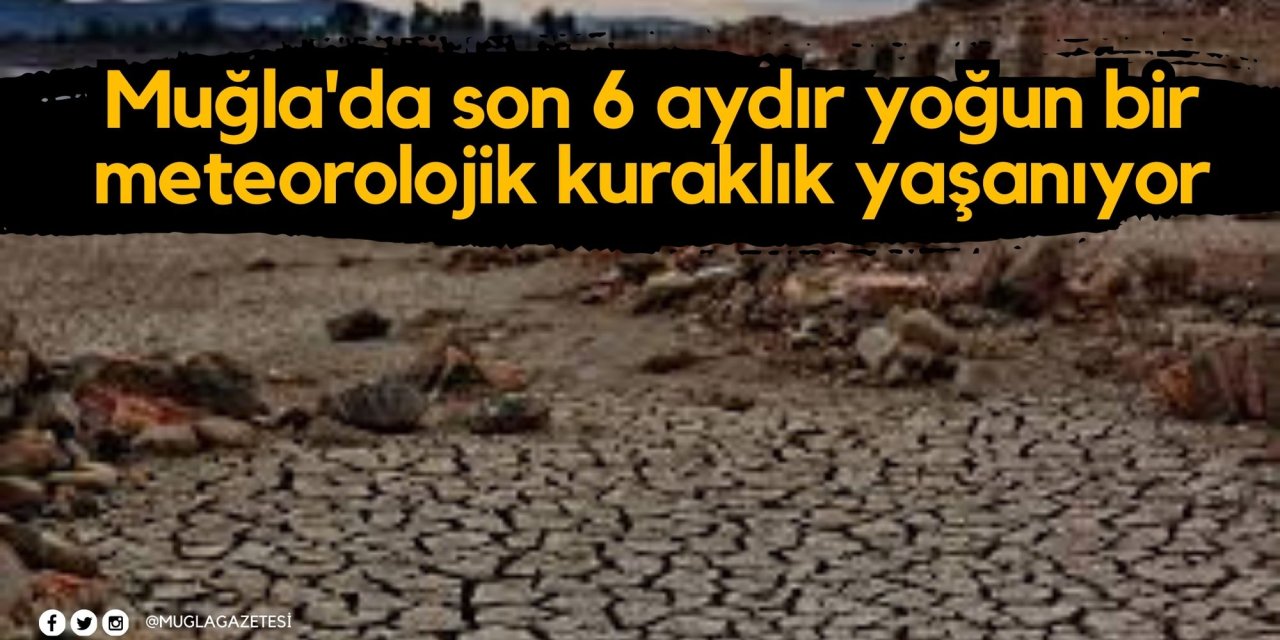 Muğla'da son 6 aydır yoğun bir meteorolojik kuraklık yaşanıyor