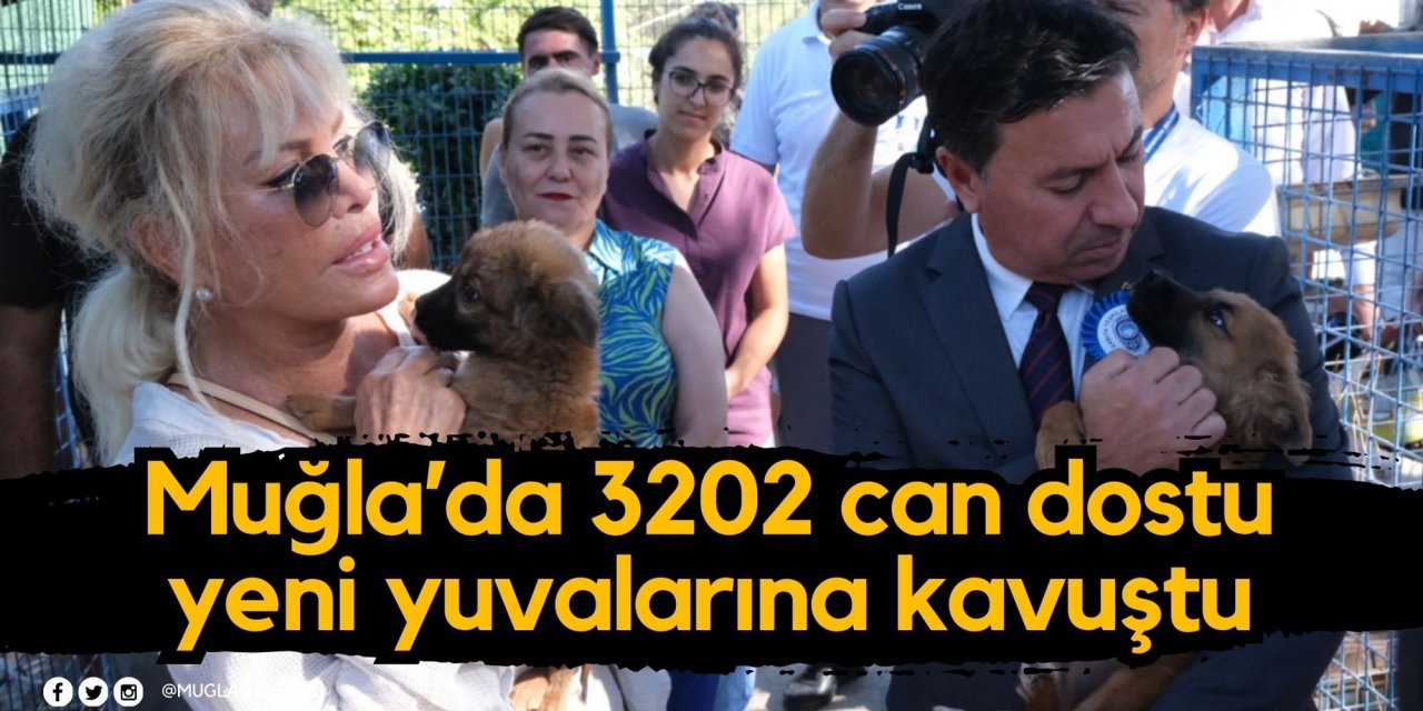 Muğla’da 3202 can dostu yeni yuvalarına kavuştu