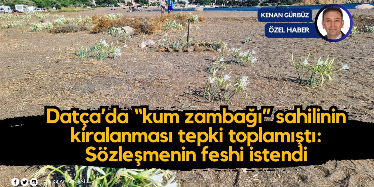 Datça’da “kum zambağı” sahilinin kiralanması tepki toplamıştı: Sözleşmenin feshi istendi