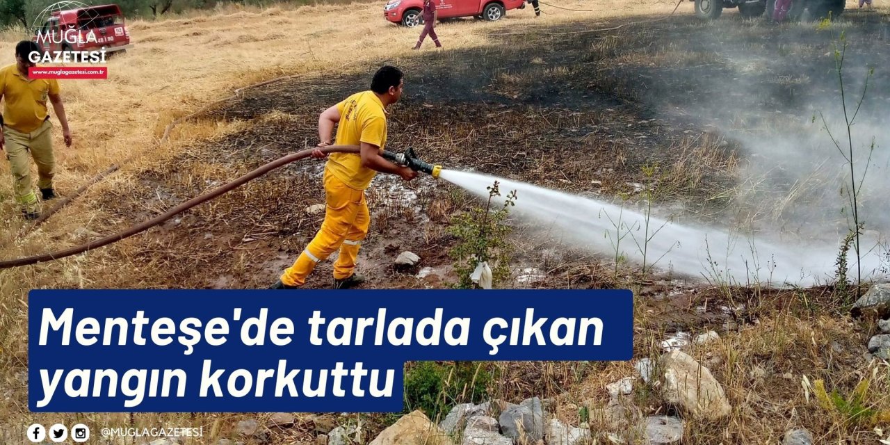 Menteşe'de tarlada çıkan  yangın korkuttu