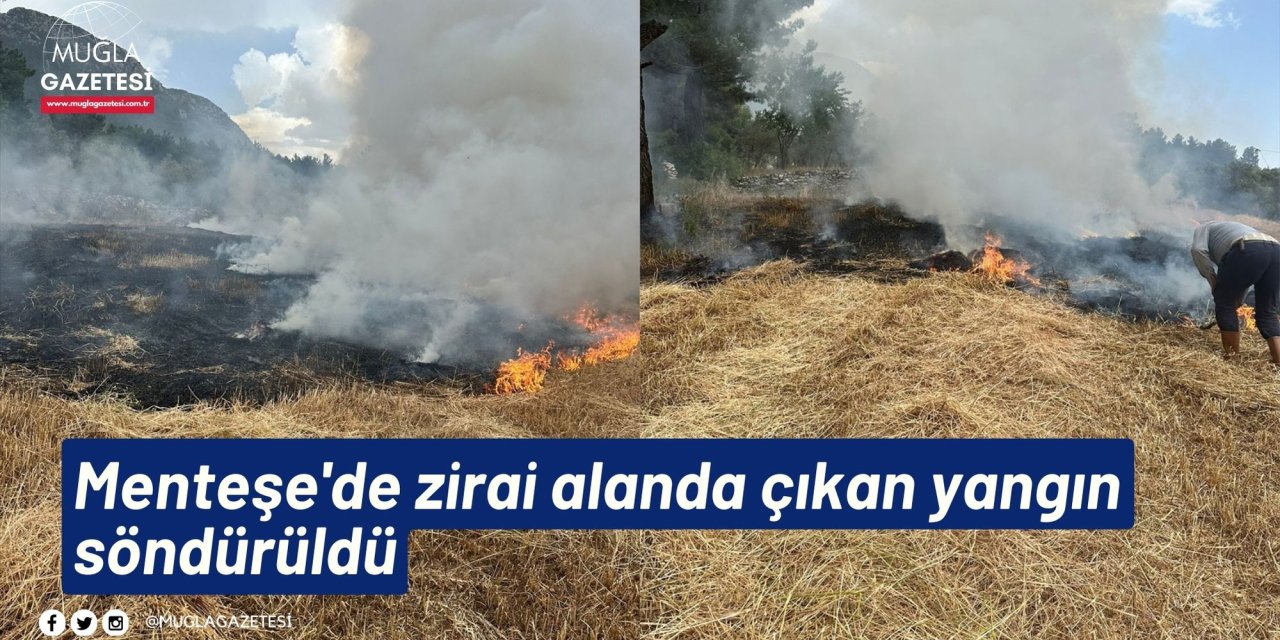 Menteşe'de zirai alanda çıkan yangın söndürüldü