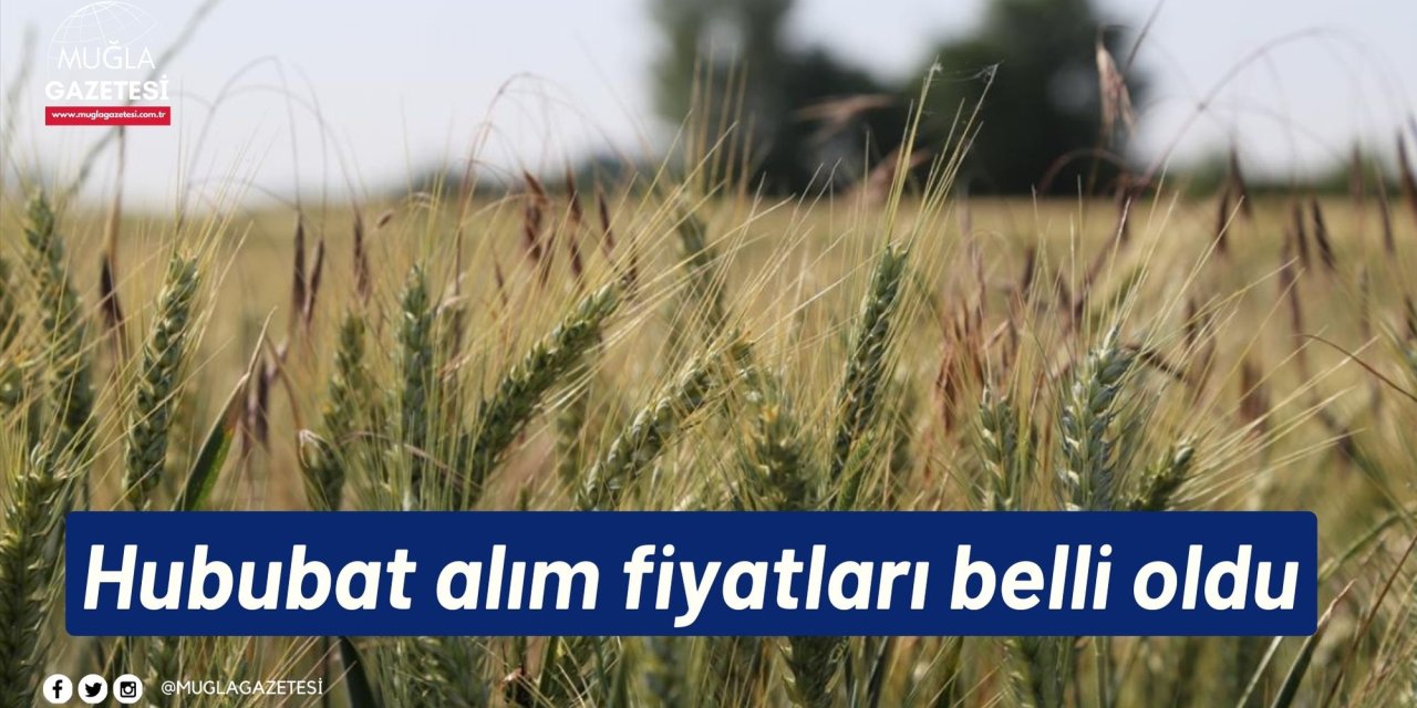 Hububat alım fiyatları belli oldu