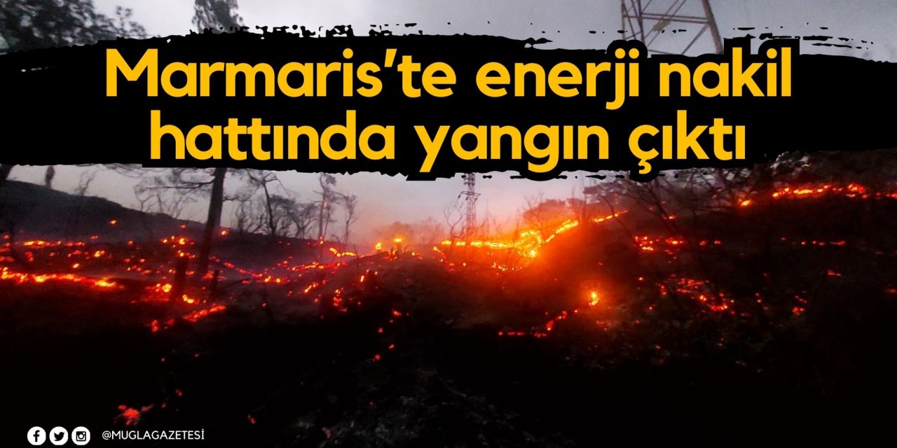 Marmaris’te enerji nakil hattında yangın çıktı