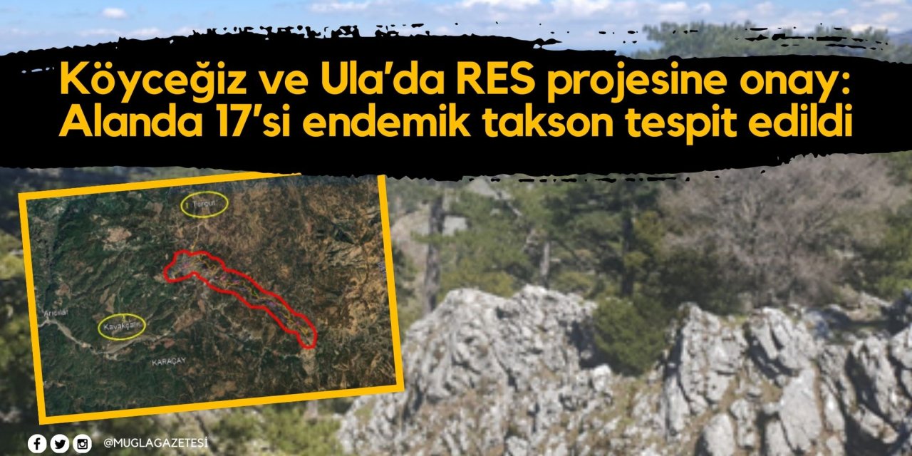 Köyceğiz ve Ula’da RES projesine onay: Alanda 17’si endemik takson tespit edildi