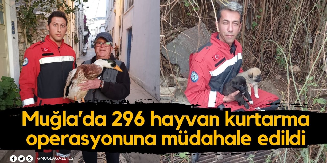 Muğla’da 296 hayvan kurtarma operasyonuna müdahale edildi