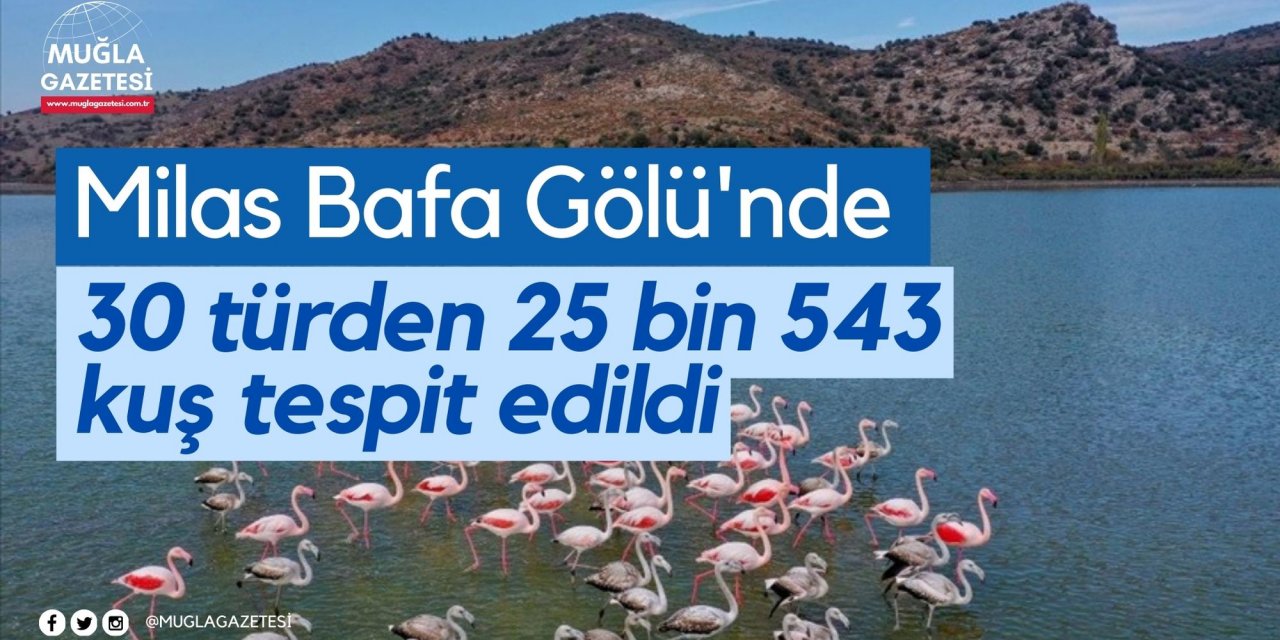Milas Bafa Gölü'nde 30 türden 25 bin 543 kuş tespit edildi