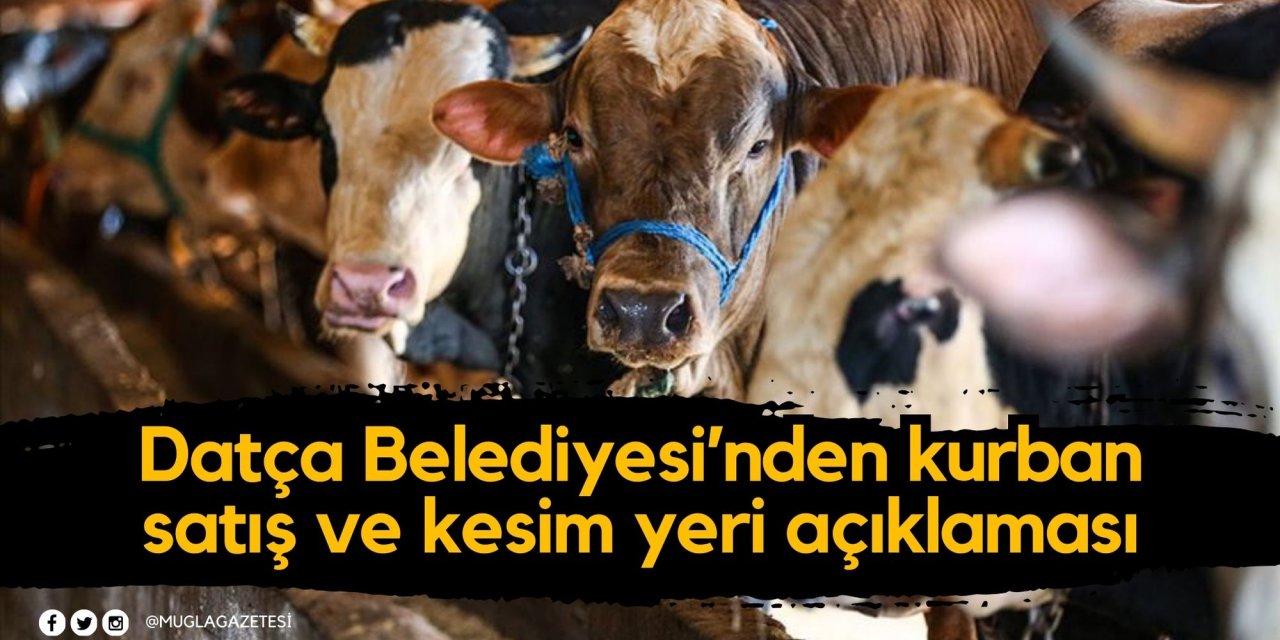 Datça Belediyesi’nden kurban satış ve kesim yeri açıklaması