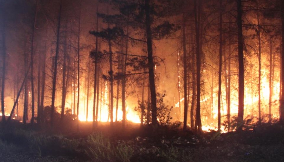 Muğla Valiliği vatandaşları uyardı
