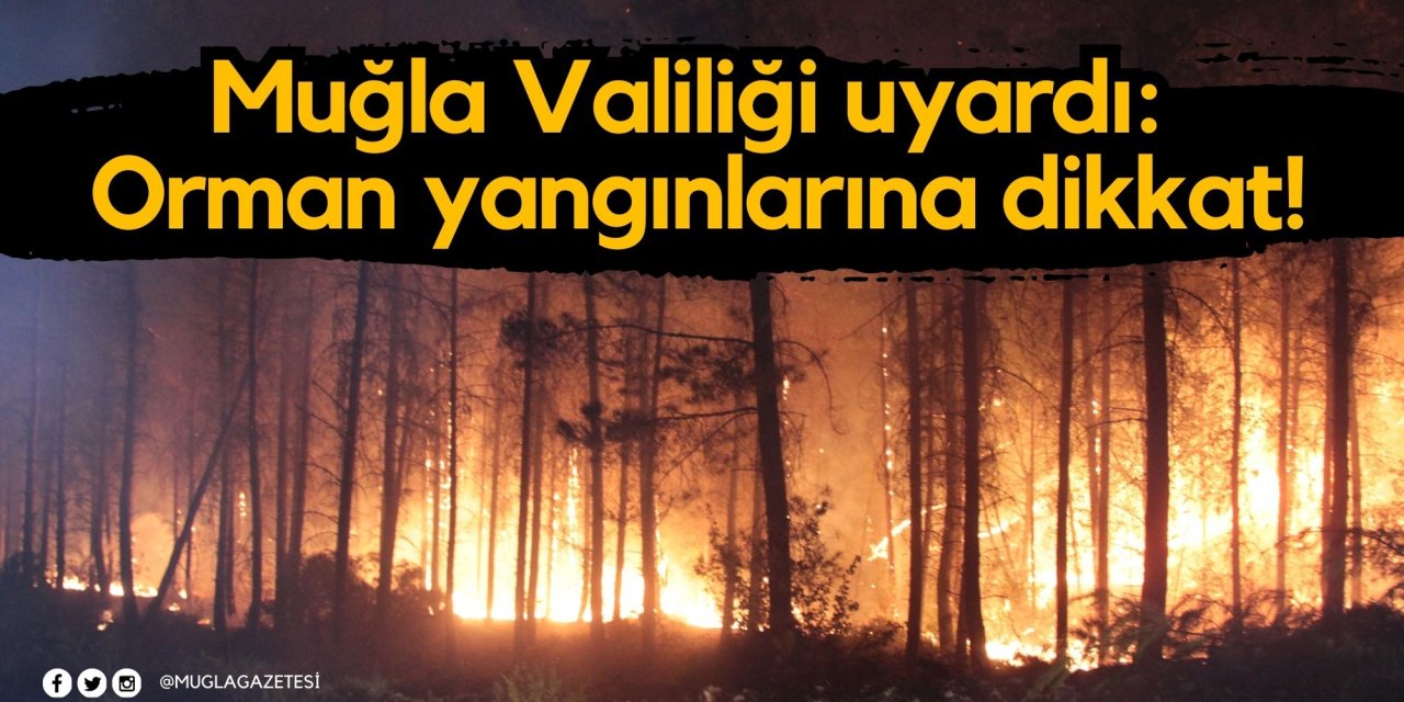 Muğla Valiliği uyardı: Orman yangınlarına dikkat!
