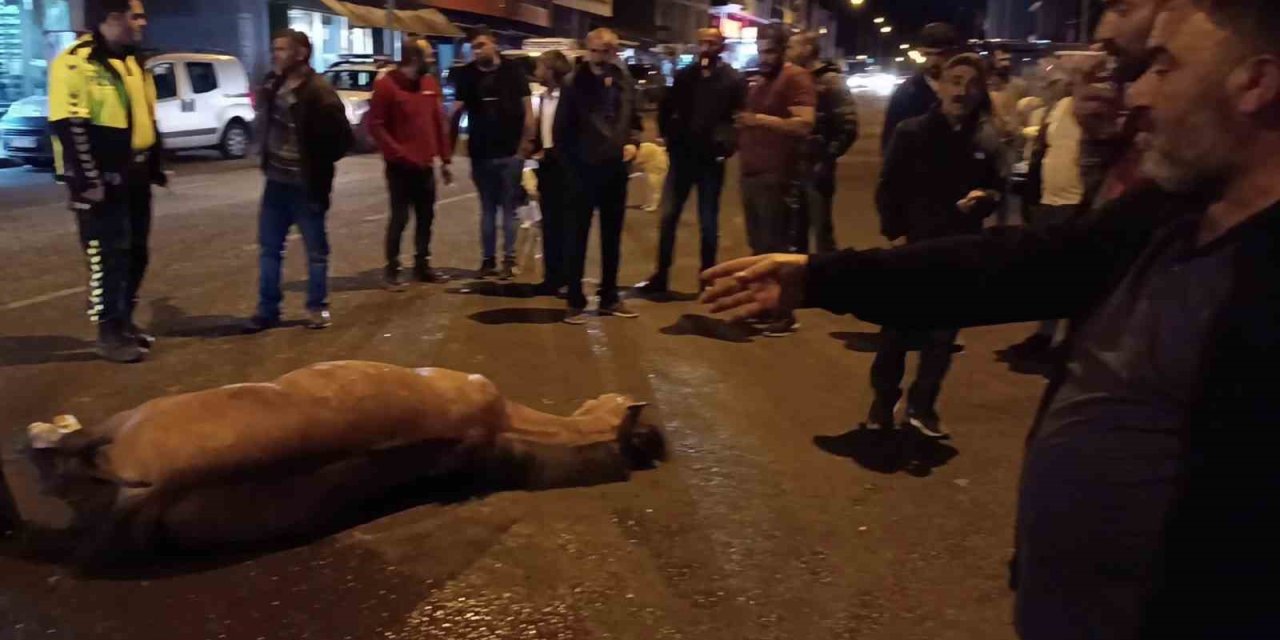 Bunun adı vicdansızlık!