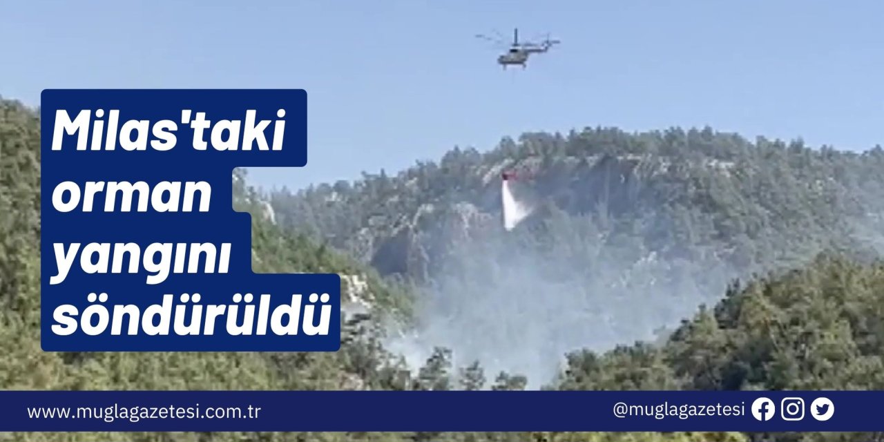 Milas'taki orman yangını söndürüldü