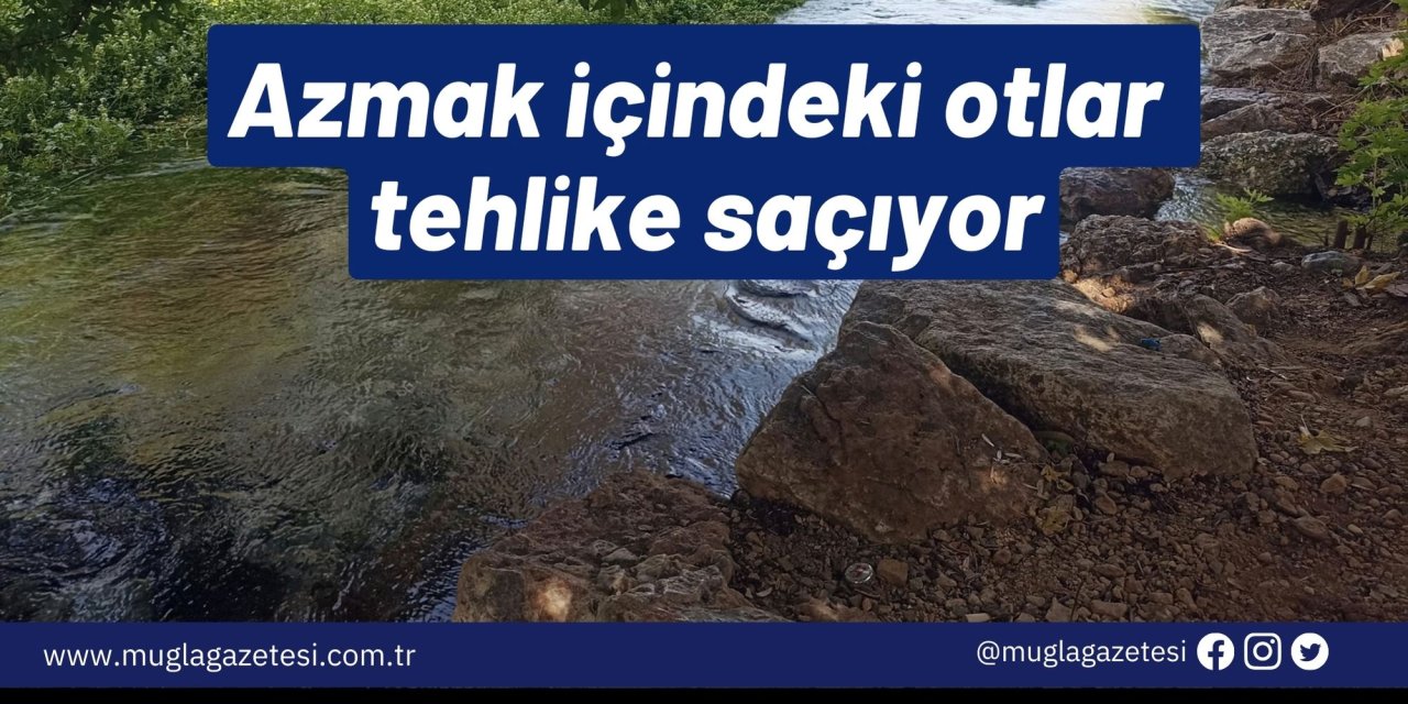 Azmak içindeki otlar tehlike saçıyor