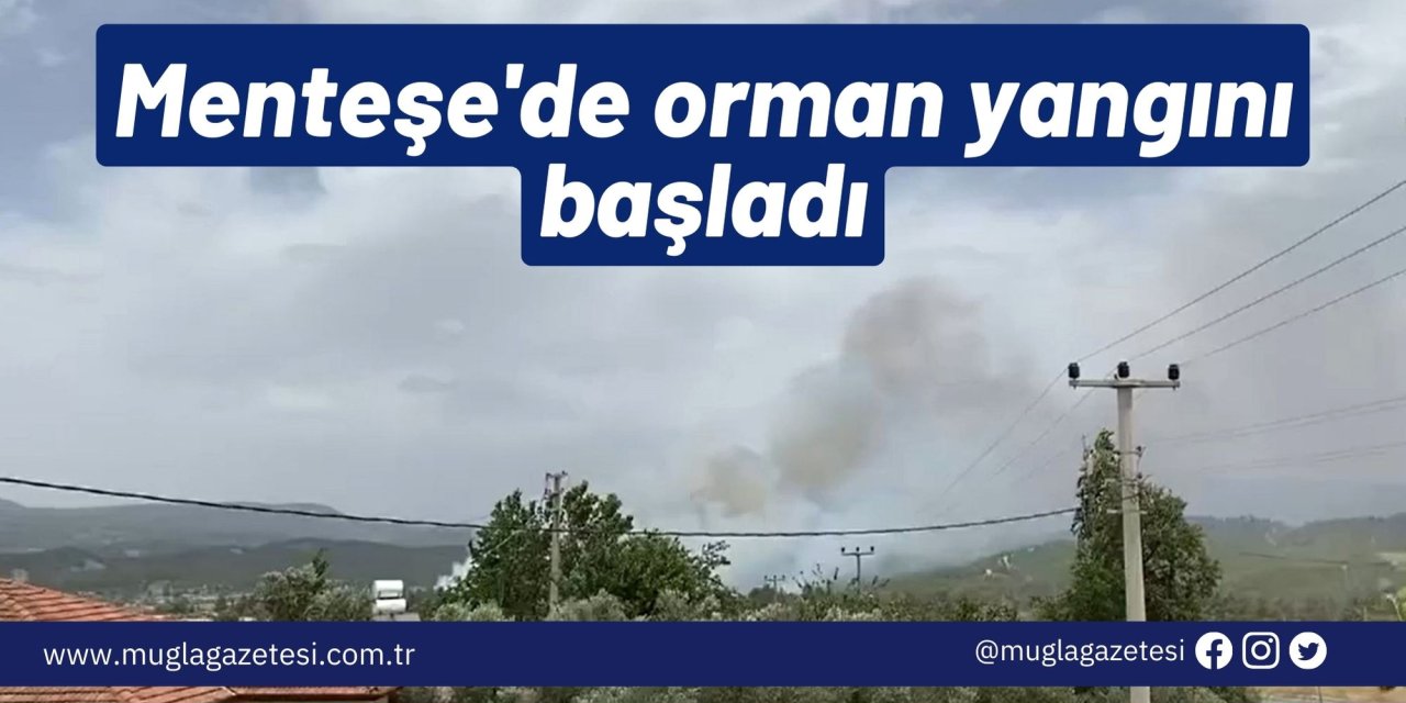 Menteşe'de orman yangını başladı