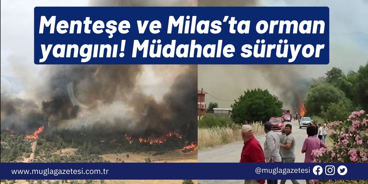 Menteşe ve Milas’ta orman yangını! Müdahale sürüyor