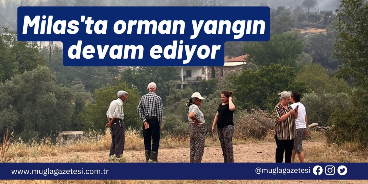 Milas'ta orman yangın devam ediyor