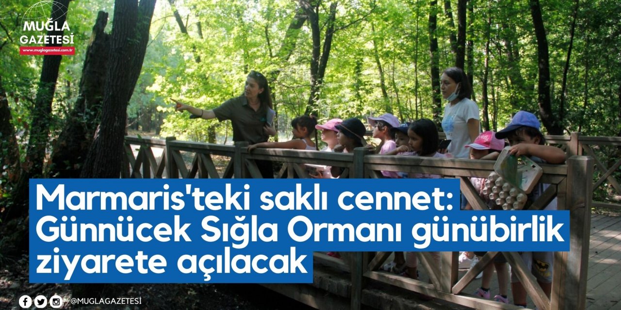 Marmaris'teki saklı cennet: Günnücek Sığla Ormanı günübirlik ziyarete açılacak
