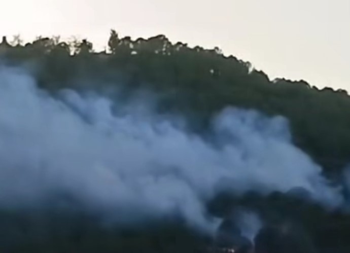 Ormanlık alanda yangın!