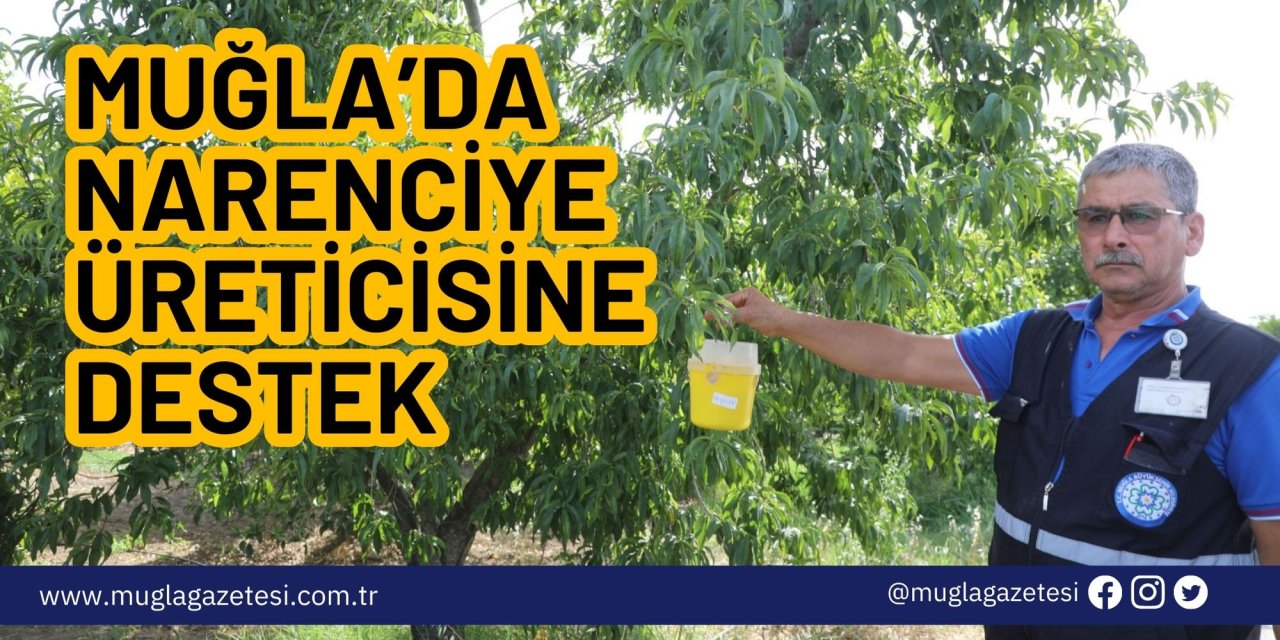 Muğla’da narenciye üreticisine destek