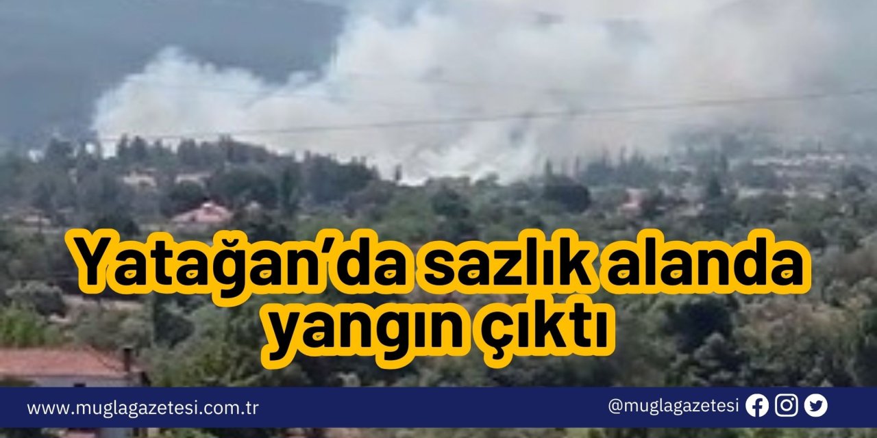 Yatağan’da sazlık alanda yangın çıktı