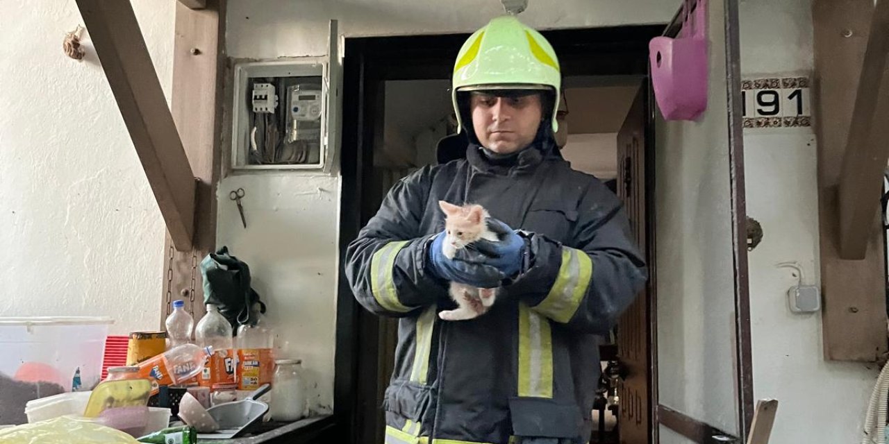 Bodrum’da çıkan yangından 6 kedi kurtarıldı