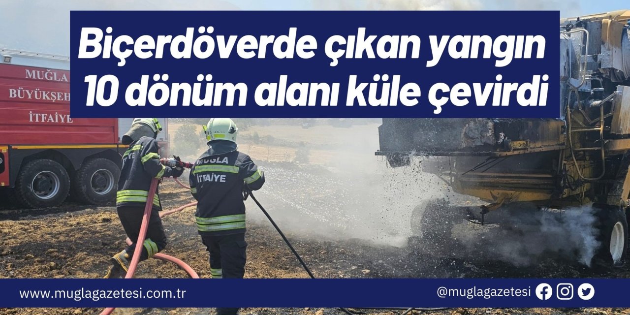 Biçerdöverde çıkan yangın 10 dönüm alanı küle çevirdi