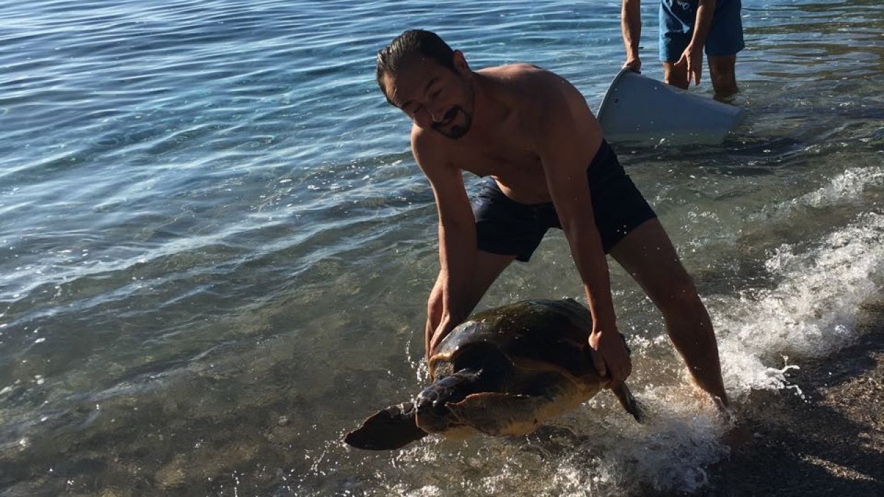 Yaralı carettayı tatilciler kurtardı