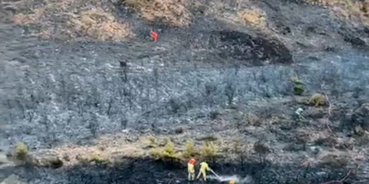 MANGAL ATEŞİ ORMANI YAKMIŞ