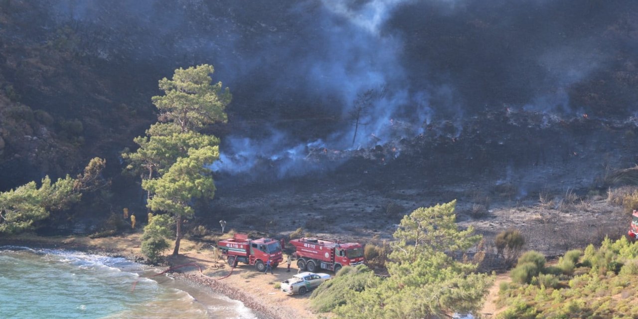 CENNETTE, YEŞİL SİYAHA DÖNDÜ…