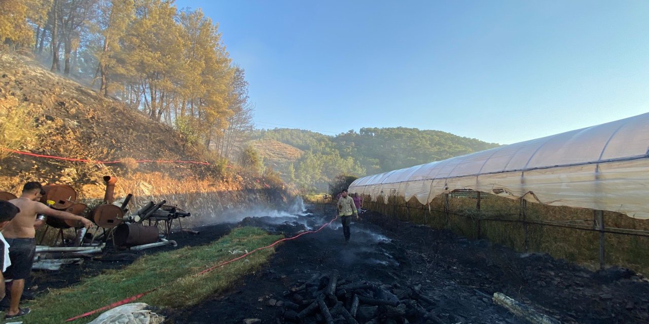 Ortaca'daki yangında  seralar  zarar gördü