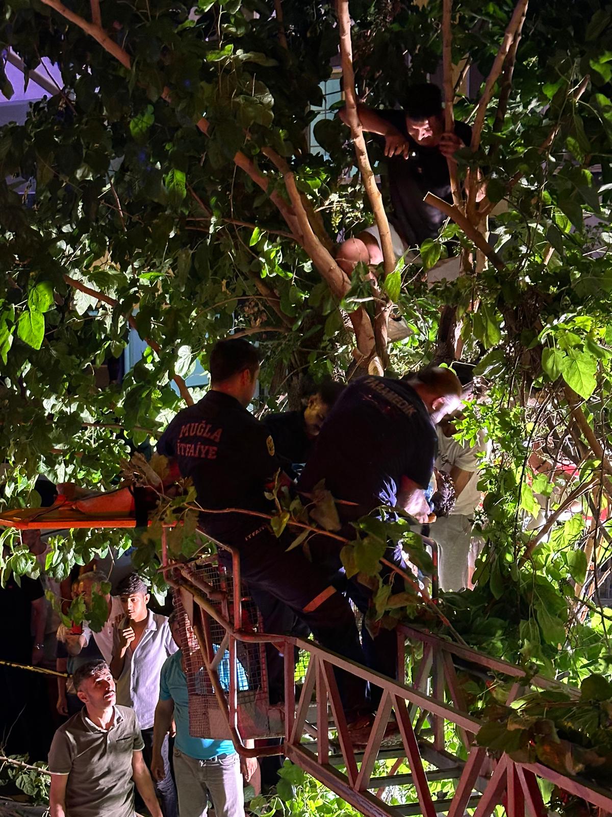 KAZA YAPAN VATANDAŞ 5 METRE YÜKSEKLİĞİNDEKİ AĞACIN TEPESİNDE SIKIŞTI