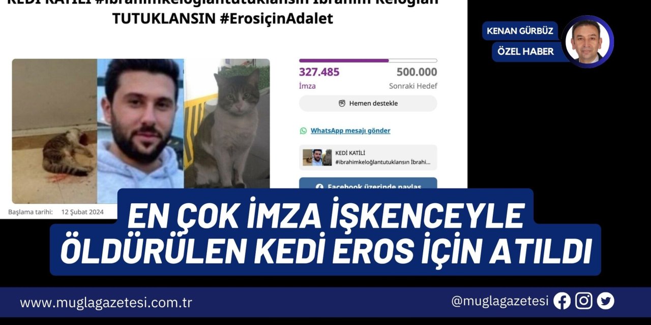 EN ÇOK İMZA İŞKENCEYLE ÖLDÜRÜLEN KEDİ EROS İÇİN ATILDI…