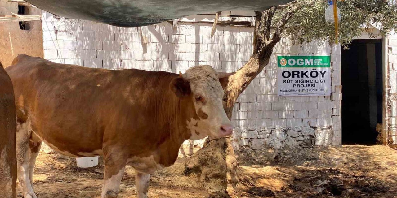Muğla'da ORKÖY’den orman köylüsüne destek