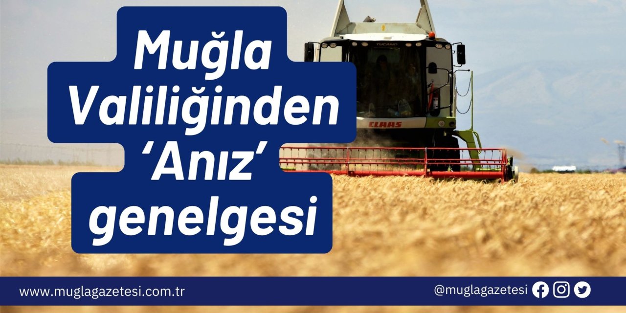 Muğla Valiliğinden ‘Anız’ genelgesi