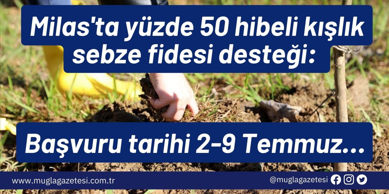 Milas'ta yüzde 50 hibeli kışlık sebze fidesi desteği: Başvuru tarihi 2-9 Temmuz…
