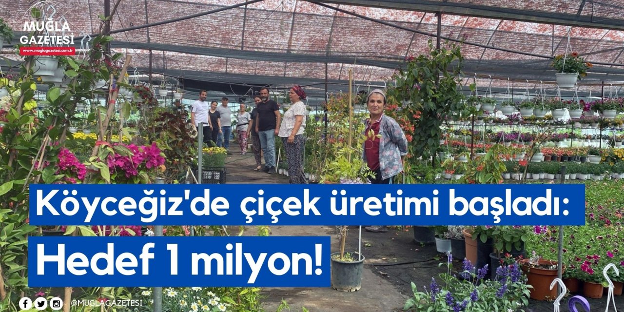 Köyceğiz'de çiçek üretimi başladı: Hedef 1 milyon!