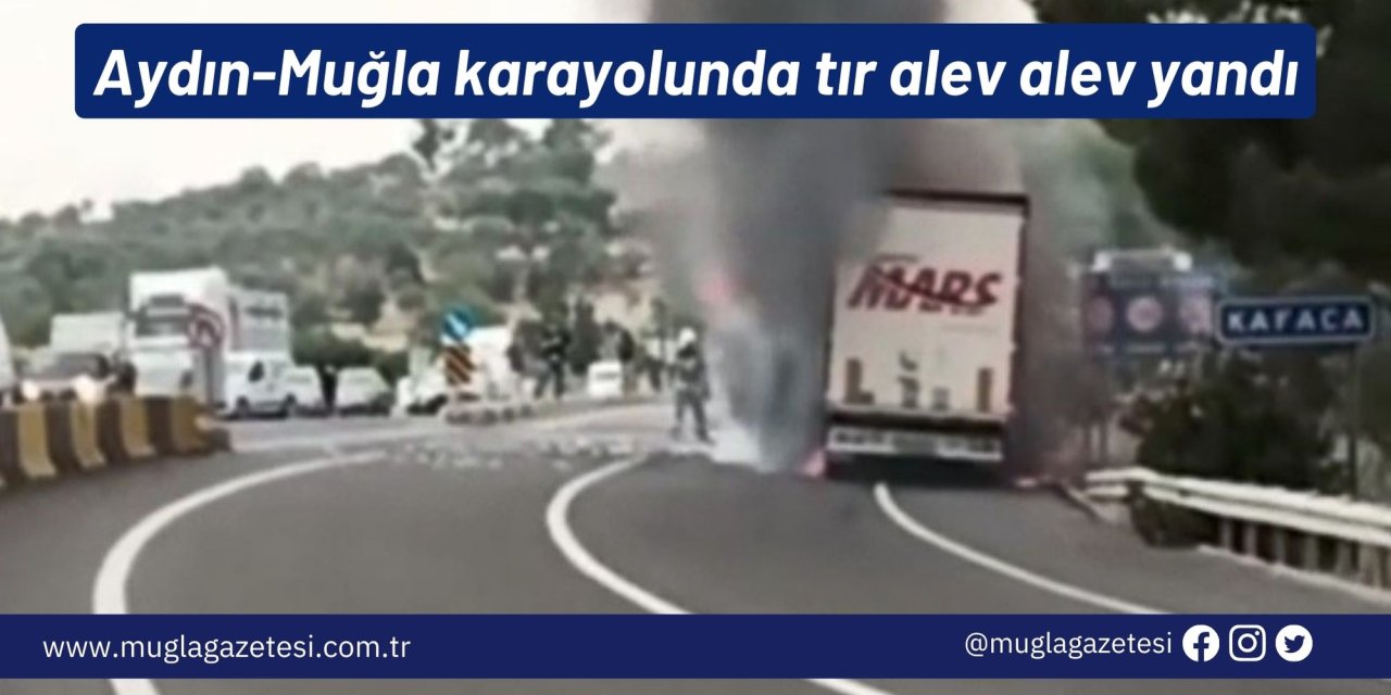 Aydın-Muğla karayolunda tır alev alev yandı
